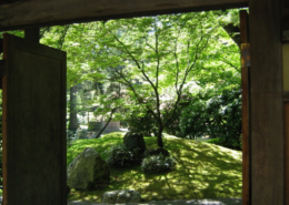 greenzone - japanse tuin